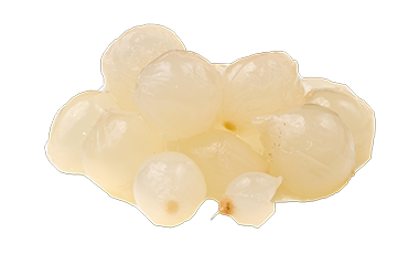 Uitjes & zilveruitjes