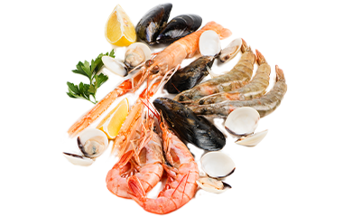 Overige schelpdieren