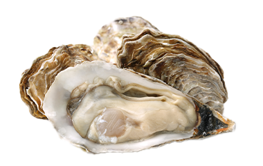 Oesters