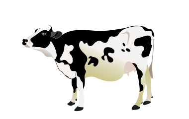 MRIJ, Dubbeldoel, Hollands