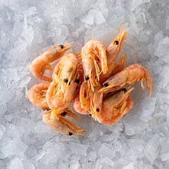 Gamba Prime Star 5 Mk Ds 2 Kg Diepvries