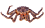 King crab